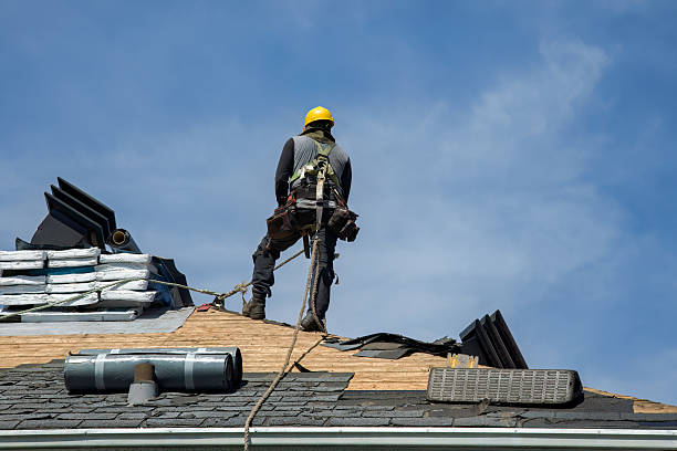 Professional Roof Replacement technician working in Mallory, WV